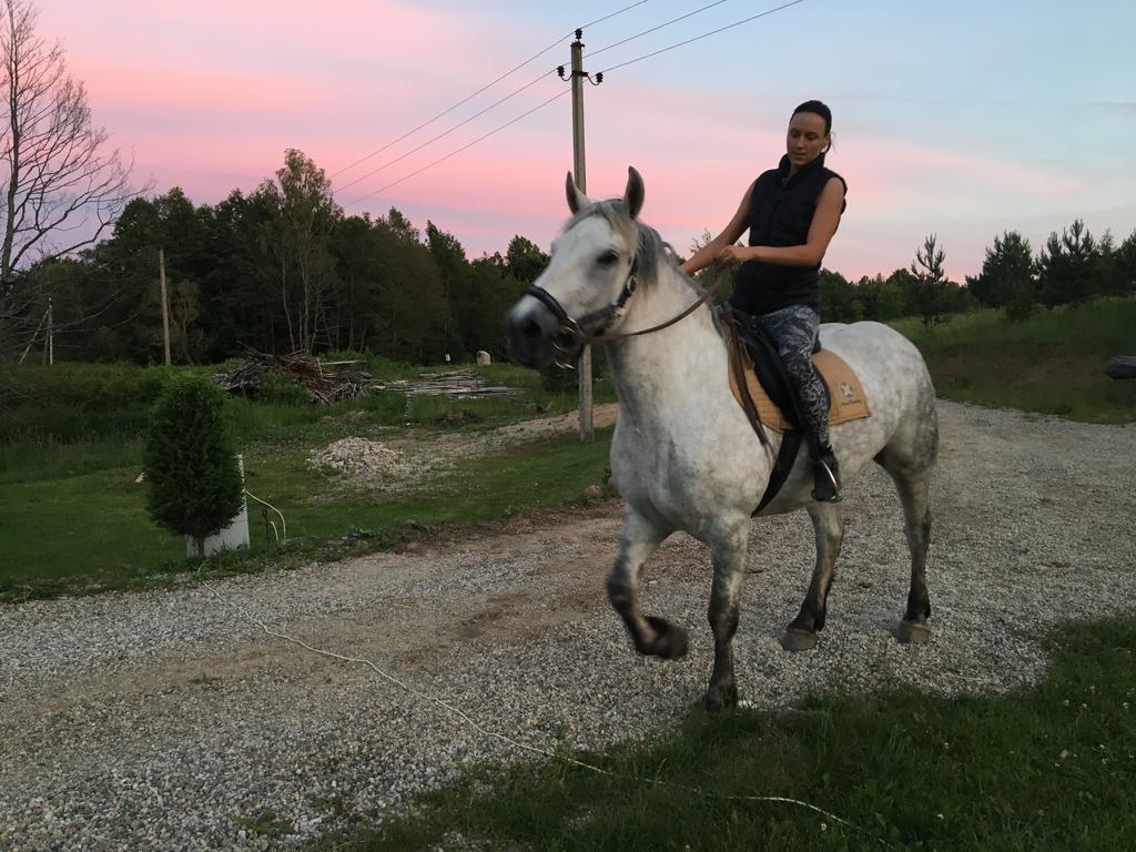 Holiday home Namelis Salia Vynuogyno *